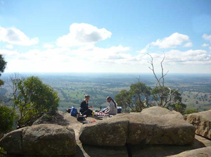 mountalexanderlookout